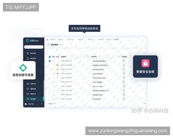 Z6平台的定制化开发能力介绍，满足不同企业个性化需求的解决方案